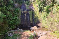 Fern-Framed Waterfall Pool on Levada do Paul II, Madeira