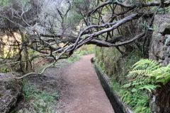 Levada dos 25 Fontes Trail, Rabaçal, Madeira Island