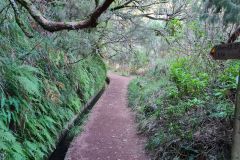 Waymarked Forest Path on Levada dos 25 Fontes, Rabaçal, Madeira