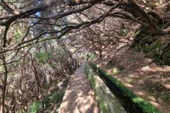 Twisting Levada Corridor, Levada das 25 Fontes, Madeira