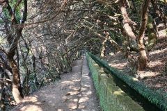 Shaded Levada Passage, Levada das 25 Fontes, Rabaçal, Madeira