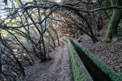 Curving Levada Corridor, Levada das 25 Fontes, Rabaçal, Madeira