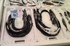 Black Scabbardfish on Ice at a Madeira Fish Market