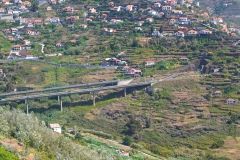 Terraced Hillside and Viaduct, Madeira Island