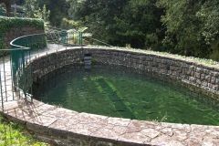 Stone Trout Pond in Madeira Mountain Forest