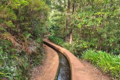 Levada Water Channel Along Forest Path, Madeira Island