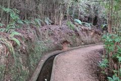 Levada Channel on Levada do Rei, Madeira