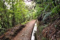 Levada Path with Water Channel, Levada do Rei, Madeira