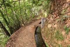 Levada Path with Stone Crossing, Levada do Rei, Madeira