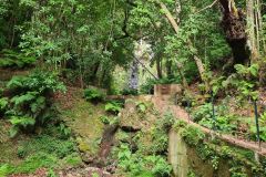 Levada Structure in Forest, Levada do Rei, Madeira