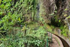 Hikers on Cliffside Levada, Levada do Rei, Madeira