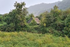 Overgrown Rural House Near Arco de São Jorge, Madeira