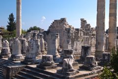 DSC_0646