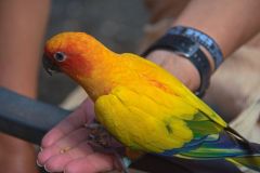 DSC_1102