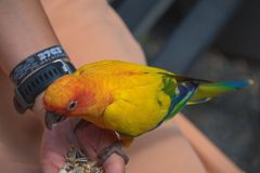 DSC_1104
