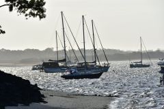 DSC_1744