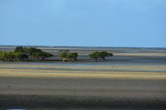 DSC_1753