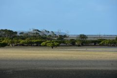 DSC_1754