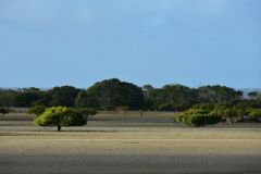 DSC_1755