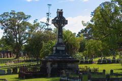 DSC_0492