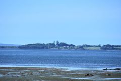 DSC_1841