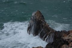 DSC_1476