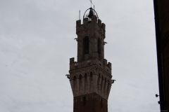 DSC_0880