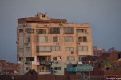 DSC_3529