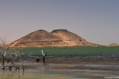 DSC_6979