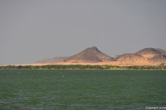 DSC_7006