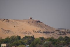 DSC_7184