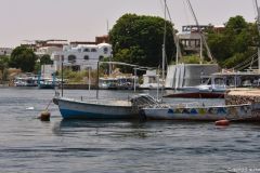 DSC_7359