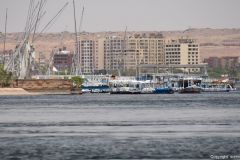 DSC_7366