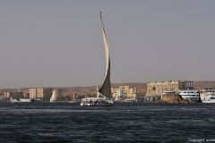 DSC_7389