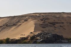DSC_7444