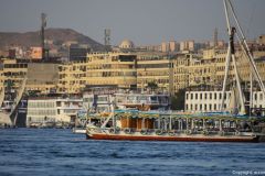 DSC_7558