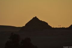 DSC_3986