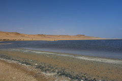 DSC_9380