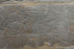 DSC_4664