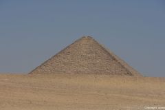 DSC_4943