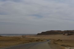 DSC_5180