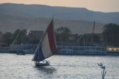 DSC_5283