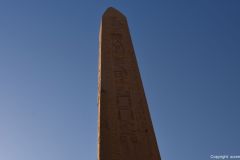 DSC_5428