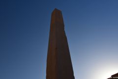 DSC_5431