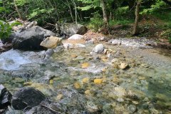 Mountain Stream in Deciduous Forest, Alpine Region of Southern Europe