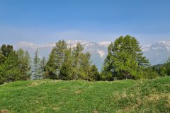 Alpine Meadow Overlooking the Écrins Massif, French Alps
