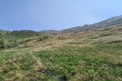 Alpine Grassland Slopes Near Col du Galibier, French Alps