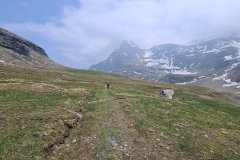 High Alpine Meadow Beneath Snow-Capped Peaks in the Italian Alps