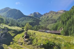 Mountain pasture trail beneath forested peaks in a high Alpine valley