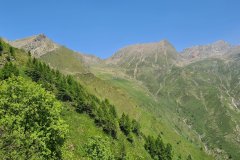 Green Alpine Slopes Rising Toward Rounded Peaks in a High Mountain Basin